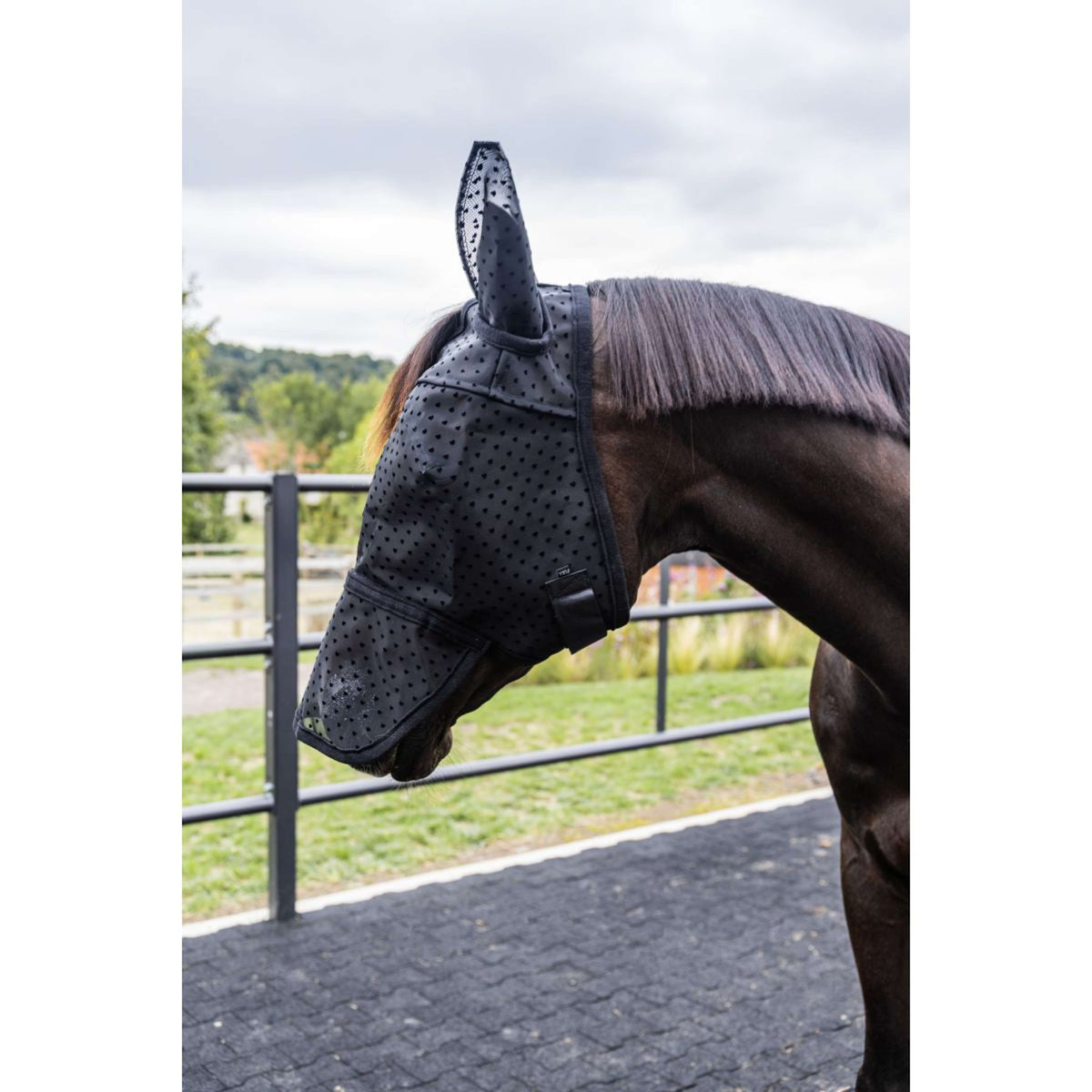 Kentucky Masque Anti-Mouches Heart avec Oreilles et Nez Noir