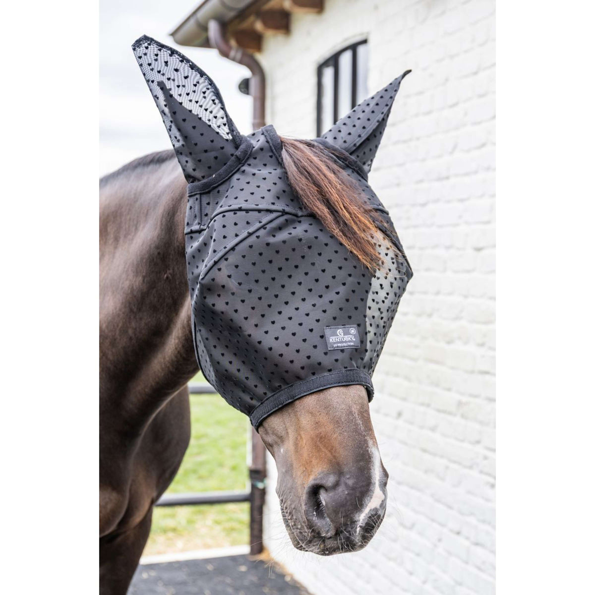 Kentucky Masque Anti-Mouches Heart avec Oreilles et Nez Noir