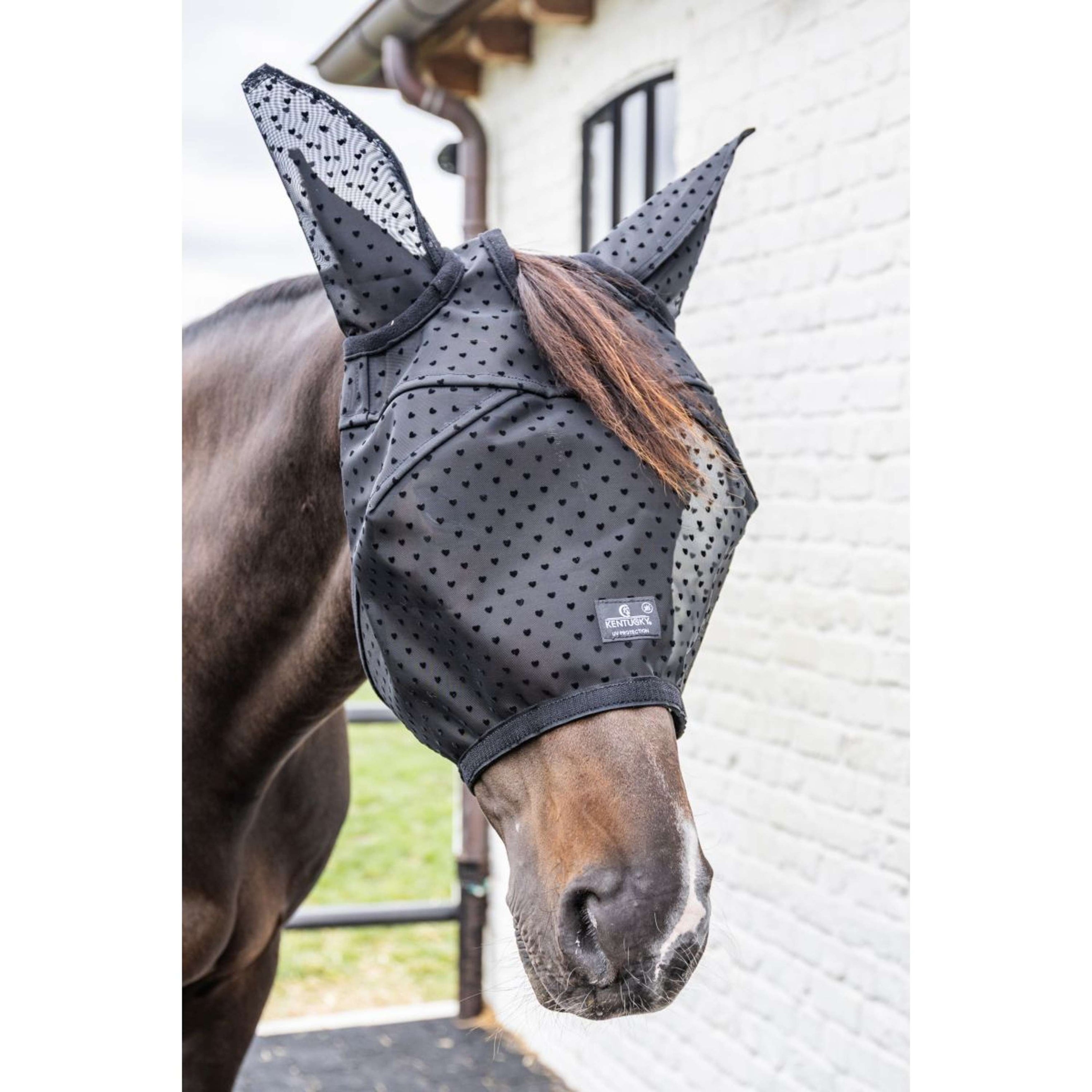 Kentucky Masque Anti-Mouches Heart avec Oreilles et Nez Noir Kentucky Masque Anti-Mouches Heart avec Oreilles et Nez Noir