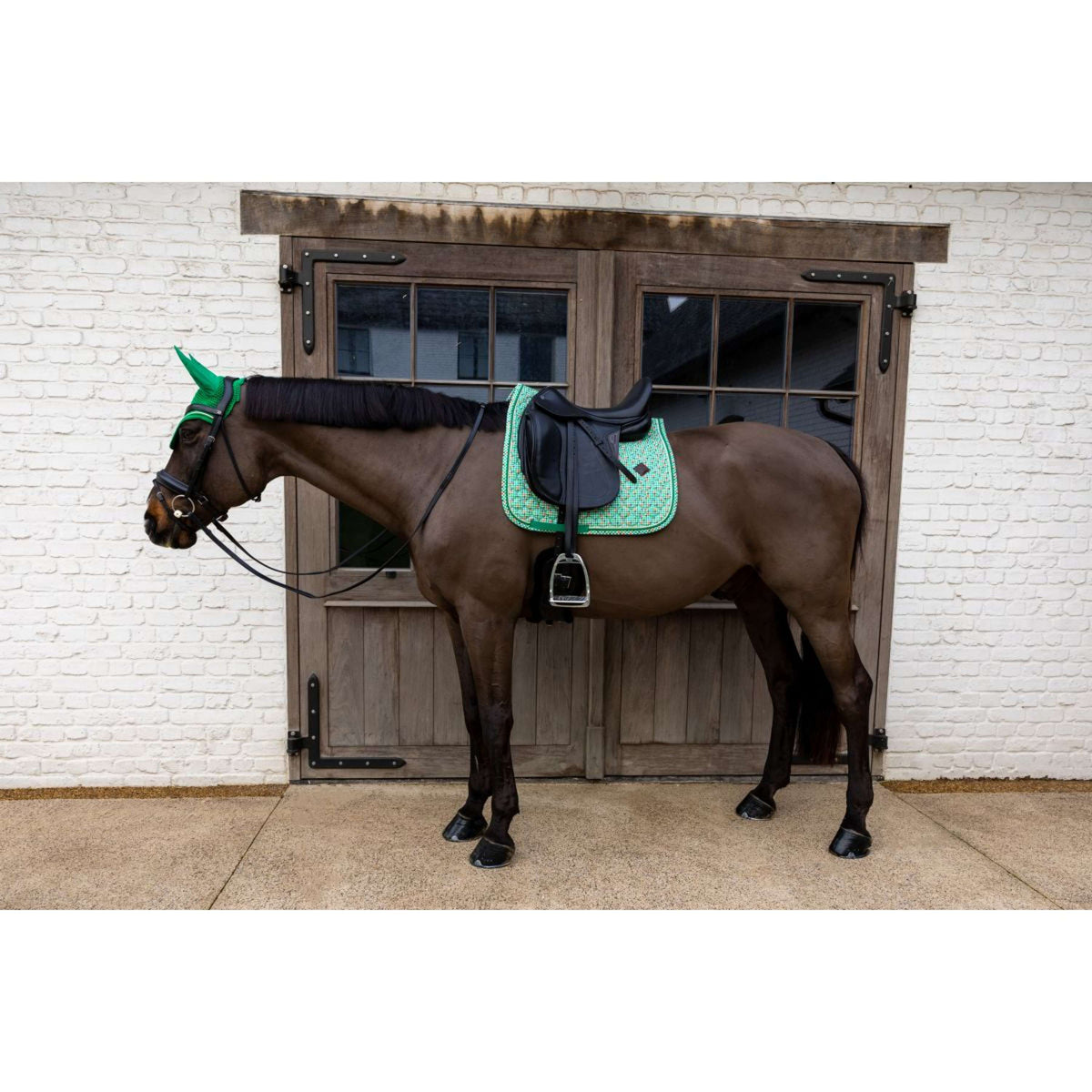 Kentucky Tapis de Selle Velvet Pied De Poule Dressage Vert clair
