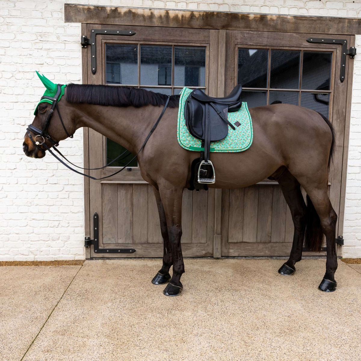 Kentucky Tapis de Selle Velvet Pied De Poule Dressage Vert clair