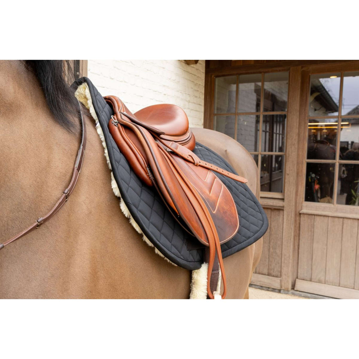 Kentucky Tapis de Selle Skin Friendly Diamond de Saut Noir