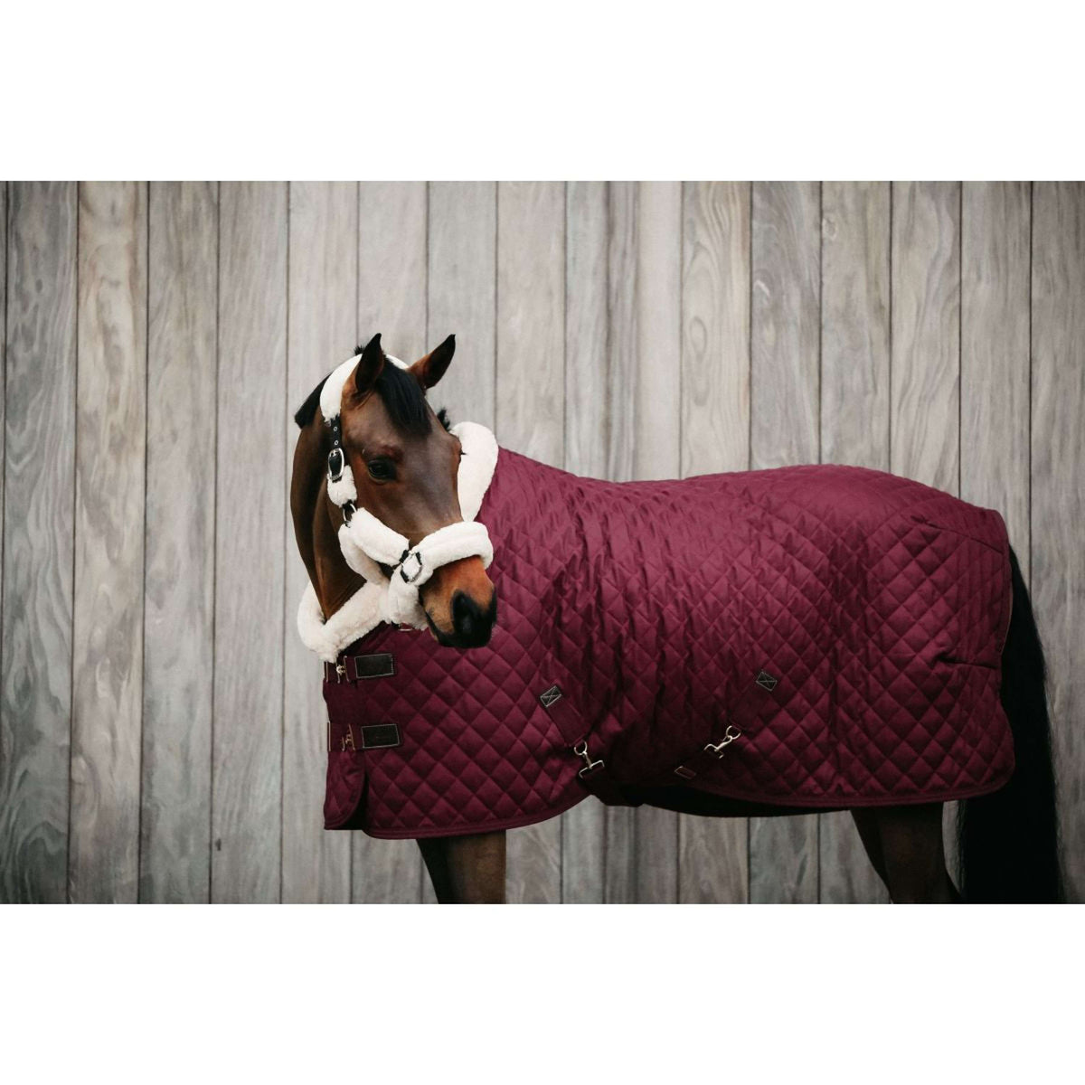 Kentucky Couverture de Concours 160g Bordeaux