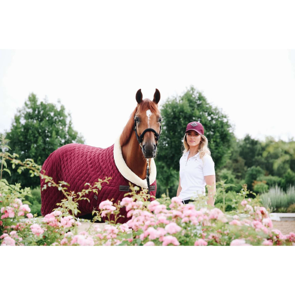 Kentucky Couverture de Concours 160g Bordeaux