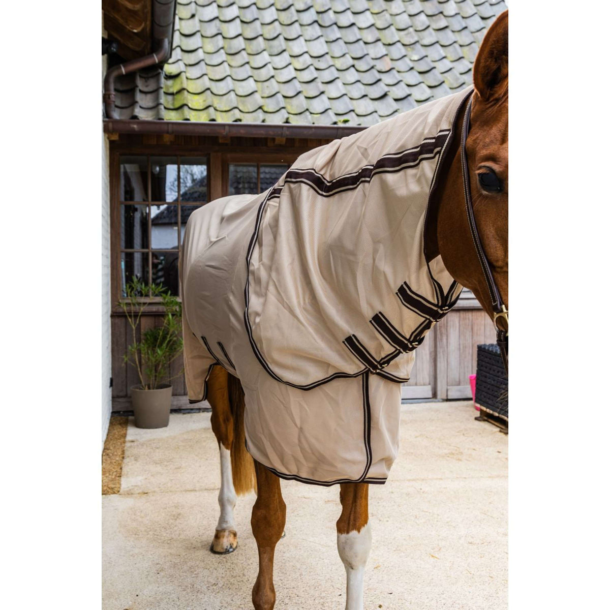 Kentucky Couverture Anti-Mouches Comfort Mesh Beige/Marron