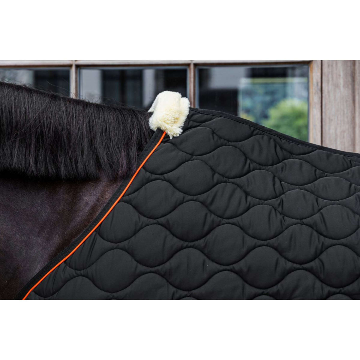 Kentucky Couverture d'Écurie Wave Noir