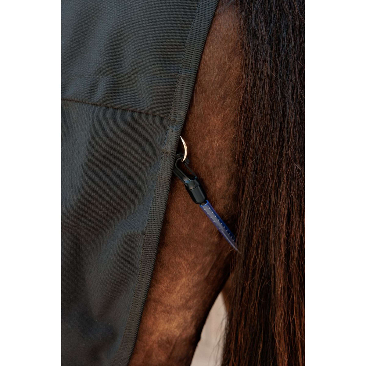 Kentucky Canvas Sheet Noir