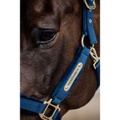 Kentucky Licol velours Marin
