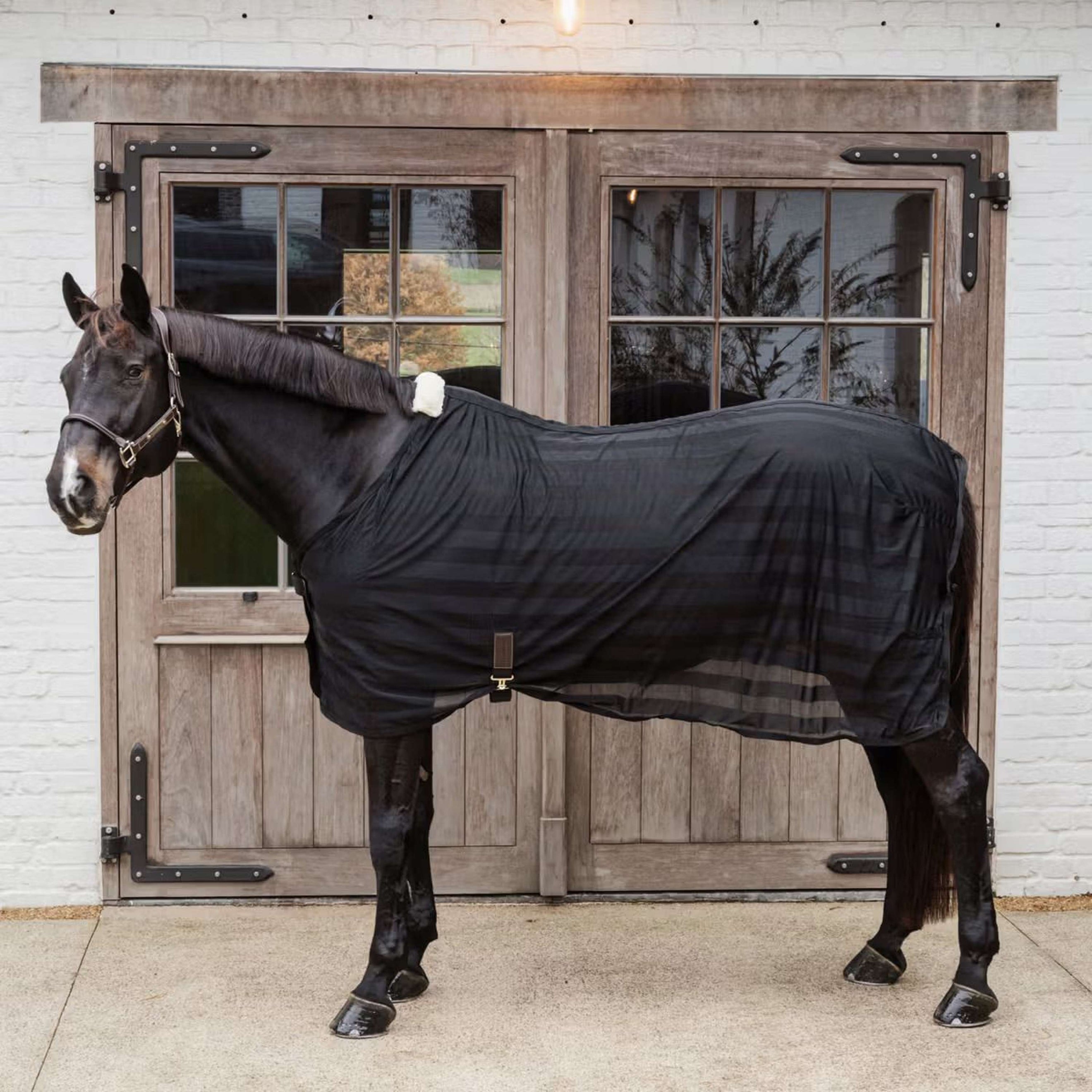 Kentucky Horsewear Couverture Anti-Mouches Light Striped Mesh Noir Kentucky Horsewear Couverture Anti-Mouches Light Striped Mesh Noir