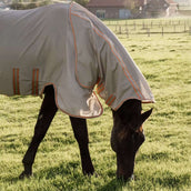 Kentucky Horsewear Couverture Anti-Mouches Comfort Mesh Beige/Orange