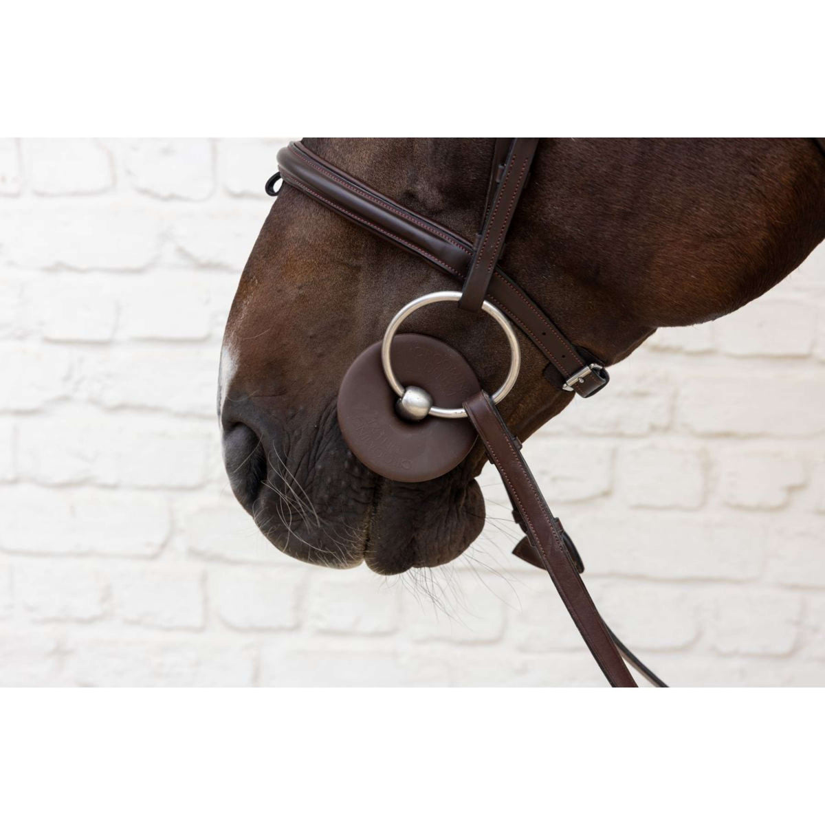 Kentucky Anneaux de Mors Bit Ring Marron