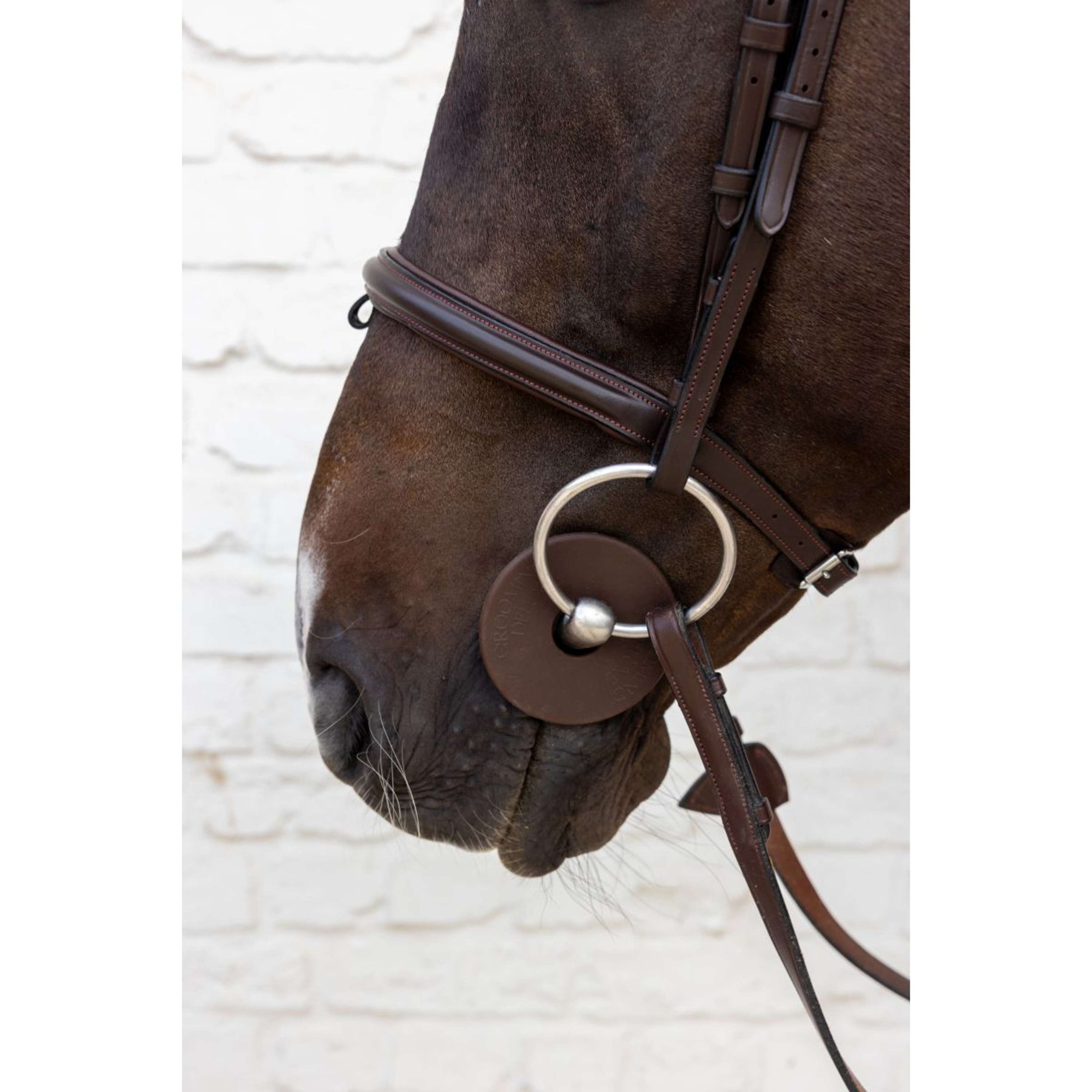 Kentucky Anneaux de Mors Bit Guard Marron Kentucky Anneaux de Mors Bit Guard Marron