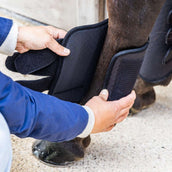 Kentucky Horsewear Eventing Boots 3D Air Flow Hind Noir
