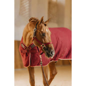 Kentucky Licol Nylon Breakaway Bordeaux