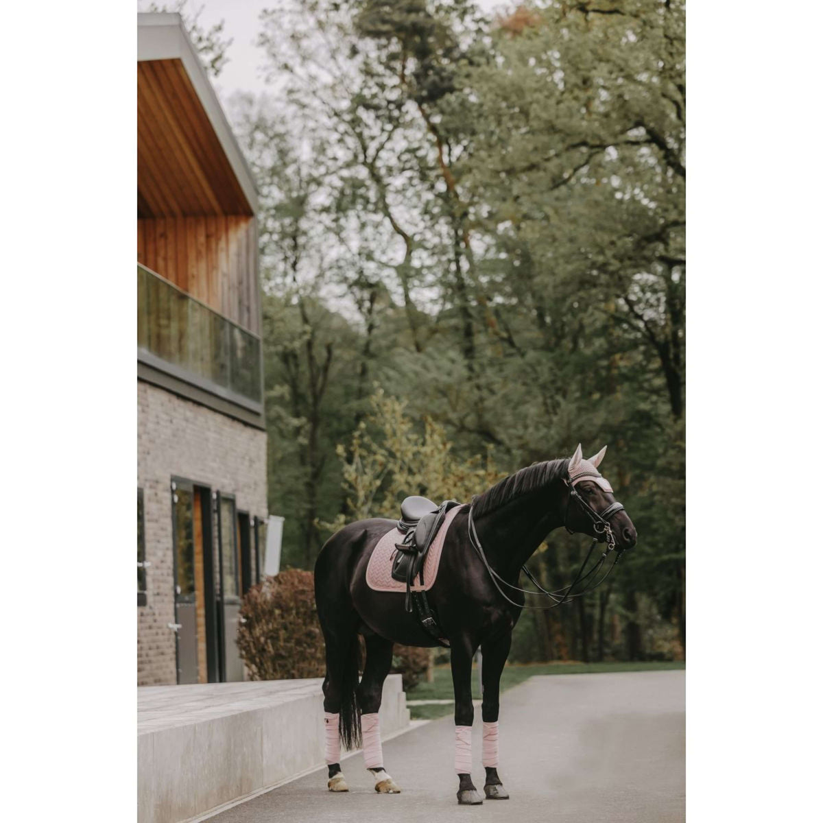 Kentucky Tapis de Selle velours Pearls Dressage Soft Rose
