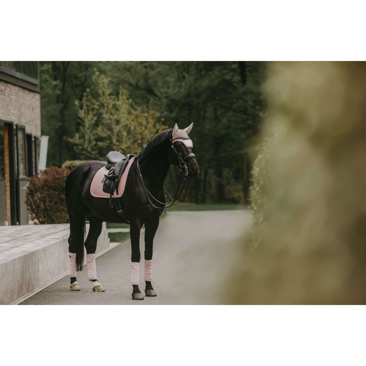 Kentucky Tapis de Selle velours Pearls Dressage Soft Rose