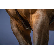 Dyon Collier de Chasse Bridge New English Collection Marron