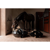 Grooming Deluxe by Kentucky Filet Anti-Glouton Play & Haybag Round