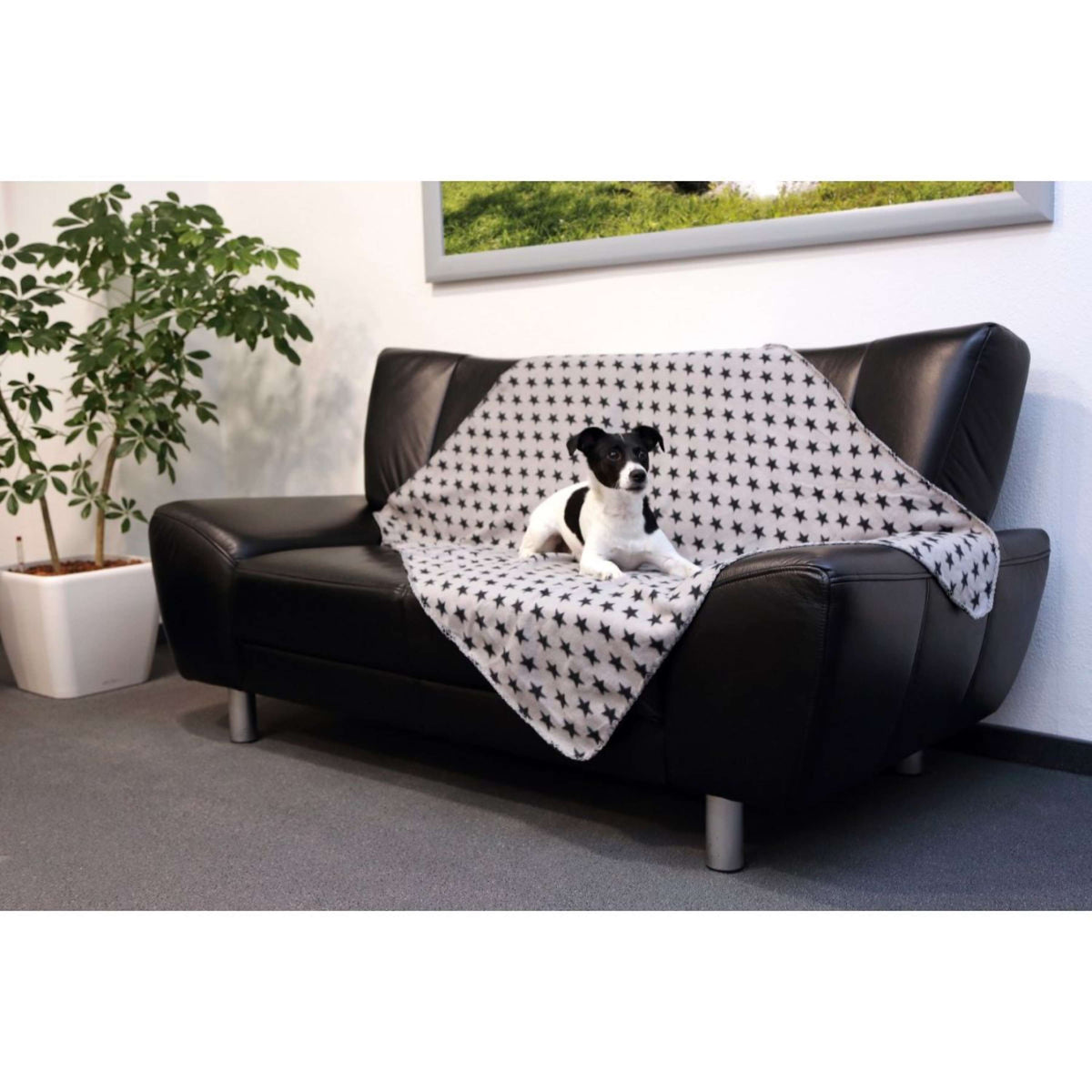 Kerbl Couverture pour Chien Stella Gris
