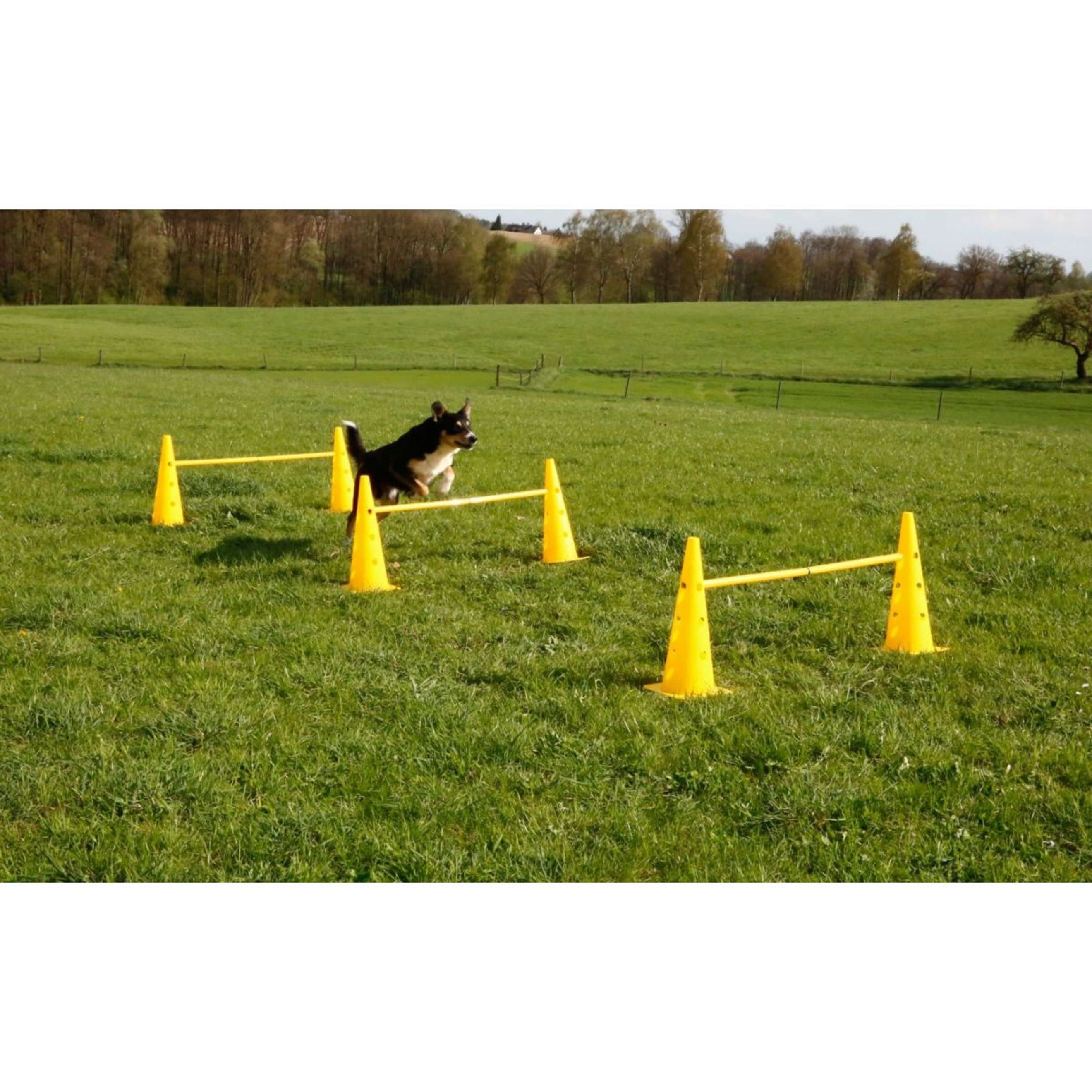 Kerbl Agilité Set Pylône 3 obstacles Rouge/Jaune Kerbl Agilité Set Pylône 3 obstacles Rouge/Jaune
