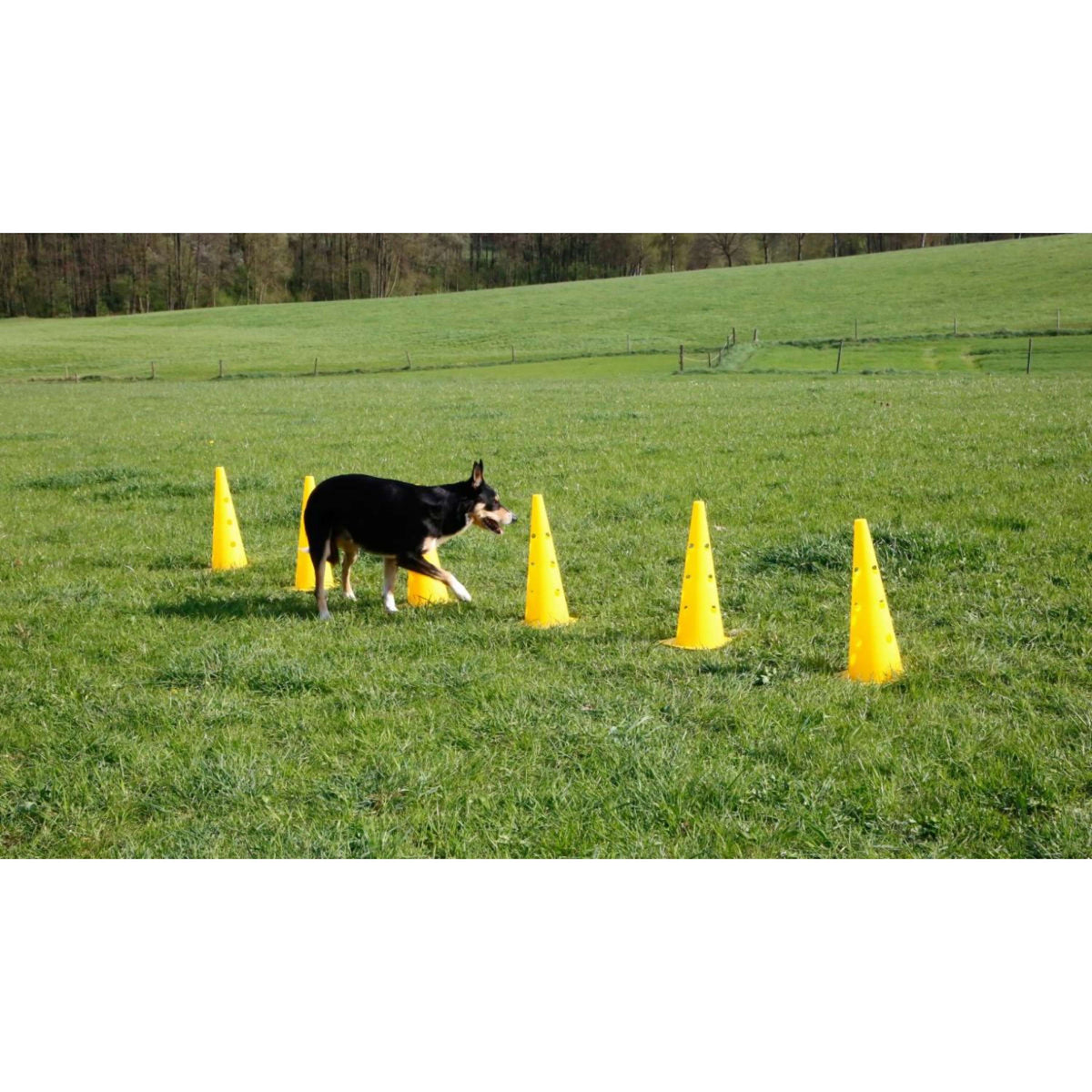 Kerbl Agilité Set Pylône 3 obstacles Rouge/Jaune