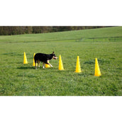 Kerbl Agilité Set Pylône 3 obstacles Rouge/Jaune