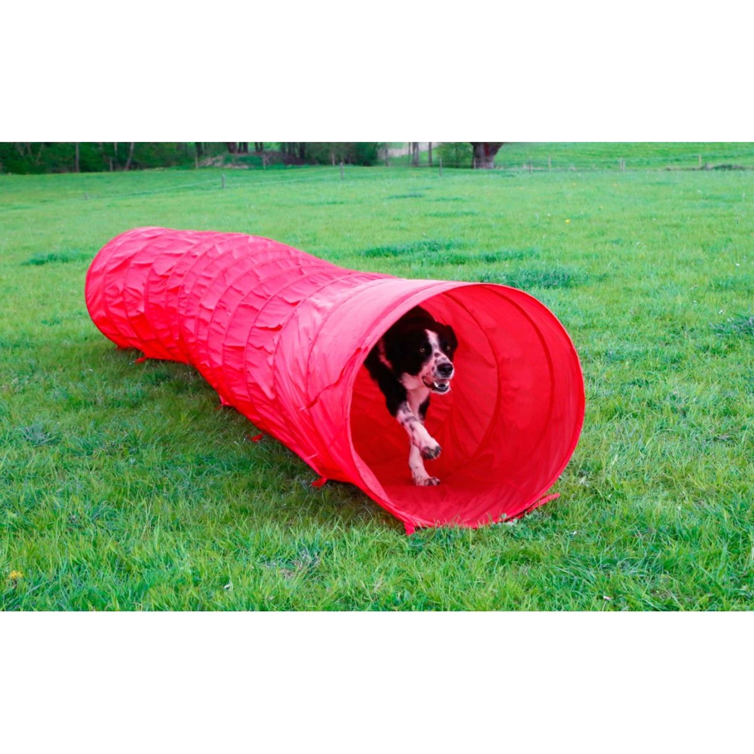 Kerbl Agilité Tunnel Chiens Rouge Kerbl Agilité Tunnel Chiens Rouge