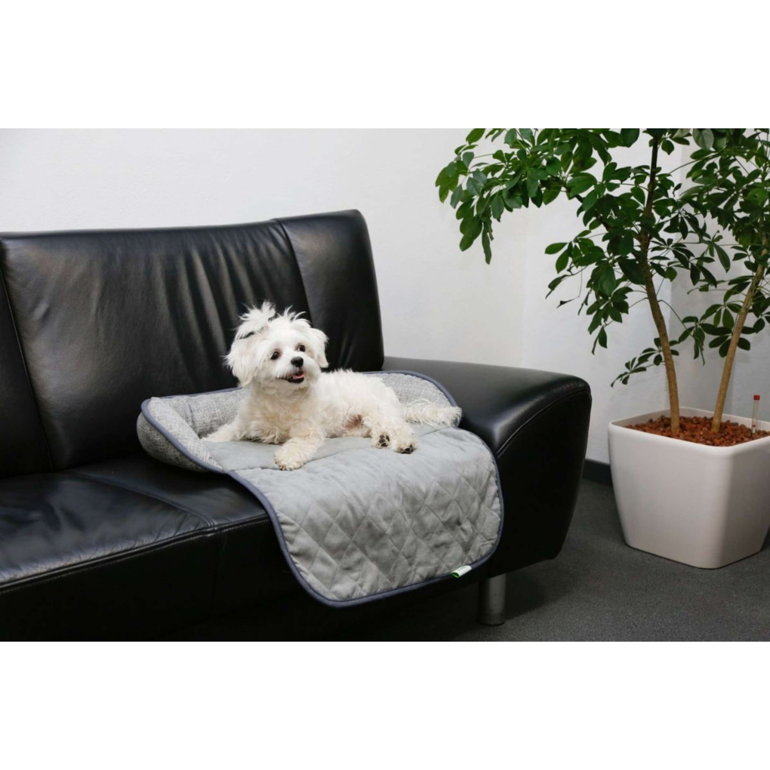 Kerbl Coussin Emalia Gris Kerbl Coussin Emalia Gris