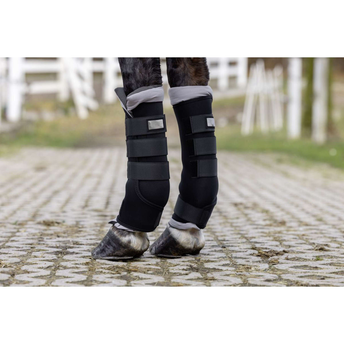 Covalliero Guêtres d'écurie Therm Noir