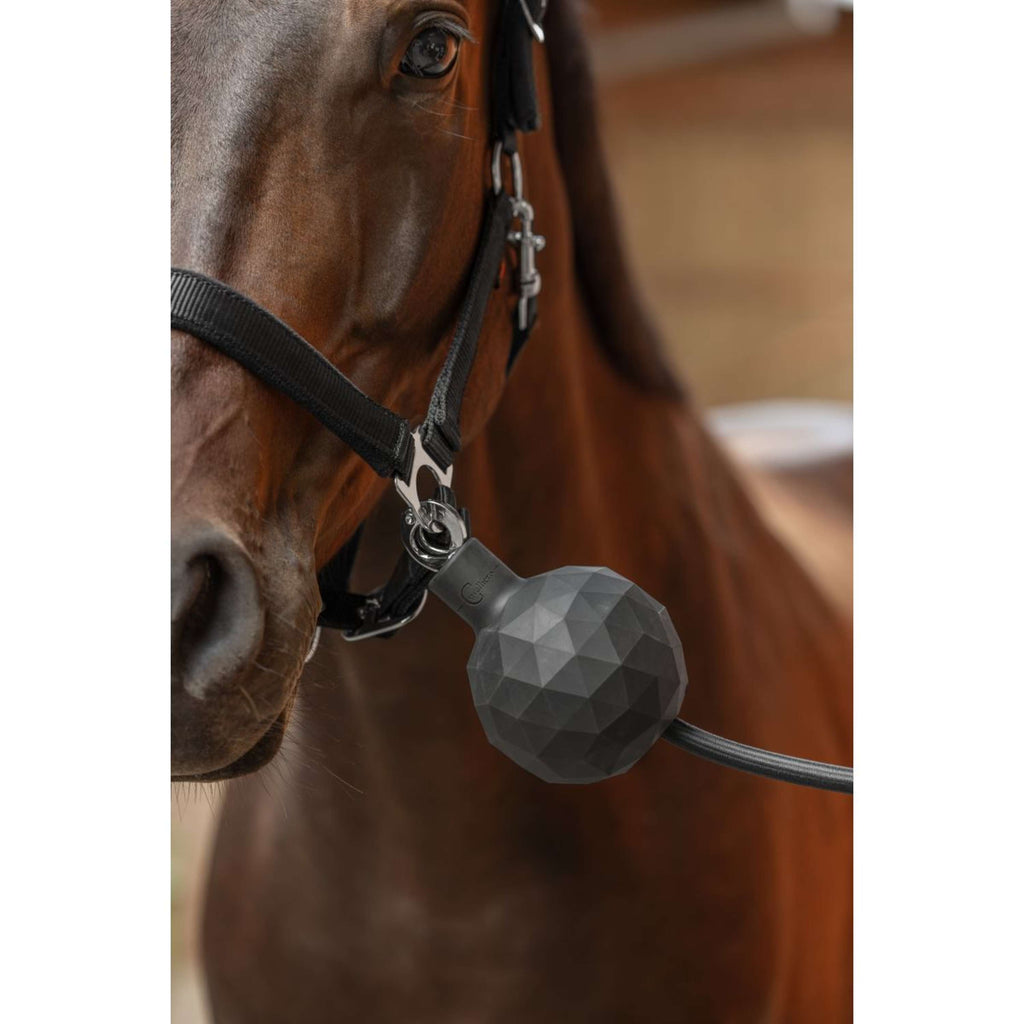 Covalliero Balle de Protection Caoutchouc Gris