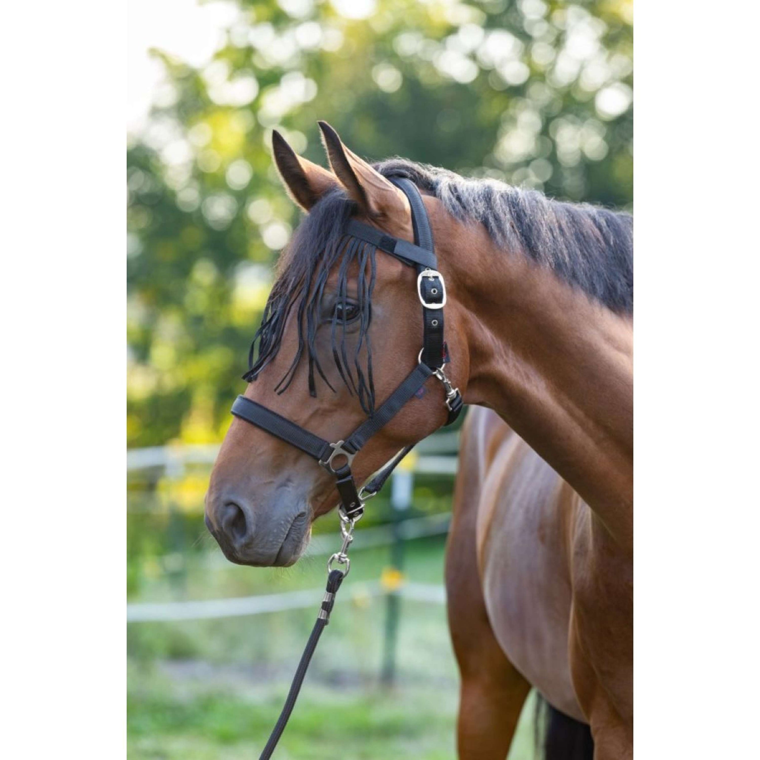 Kerbl Frontal Anti-Mouches Noir Kerbl Frontal Anti-Mouches Noir