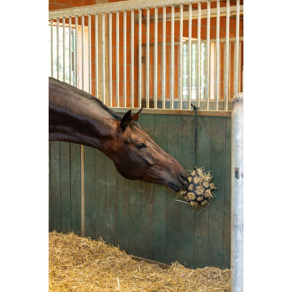 Covalliero Balle de Foin Flex Petit Noir