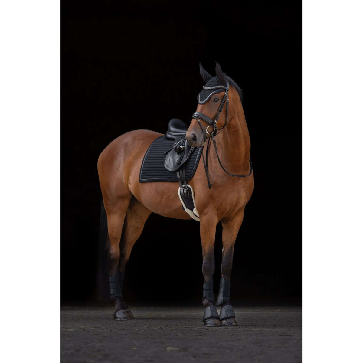 Covalliero Tapis de Selle Linea Polyvalent Noir