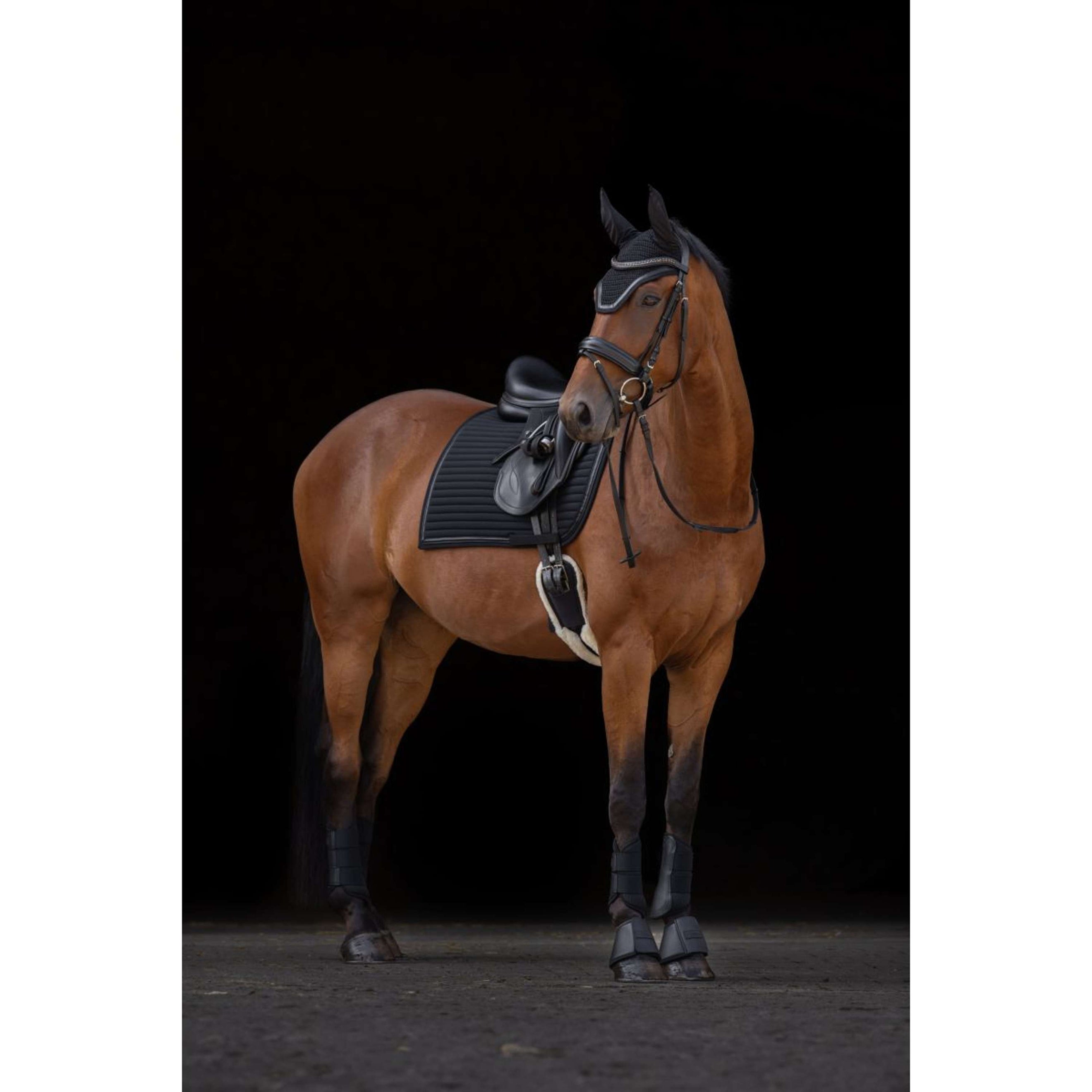 Covalliero Tapis de Selle Linea Polyvalent Noir