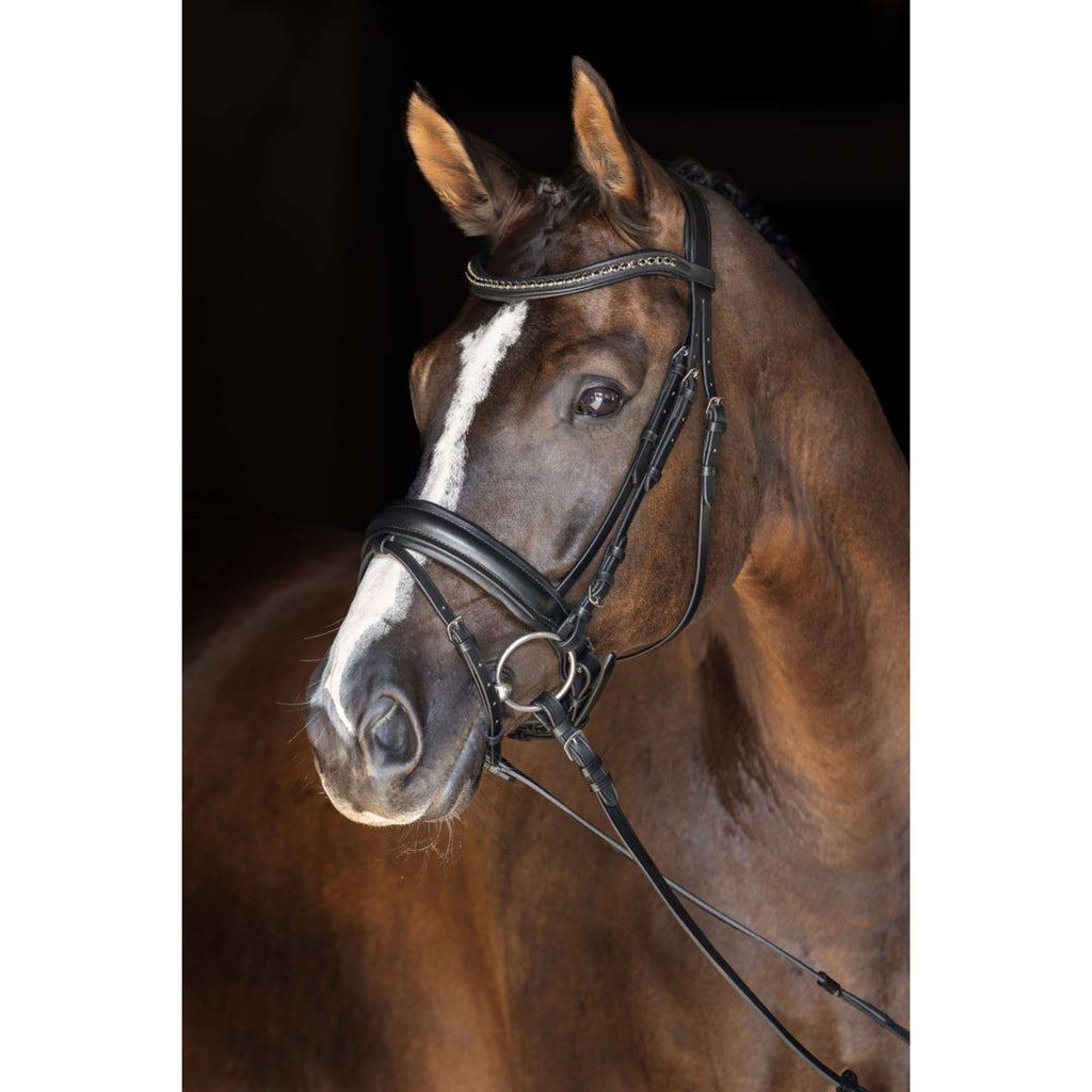 Covalliero Bride Zweeds Noir