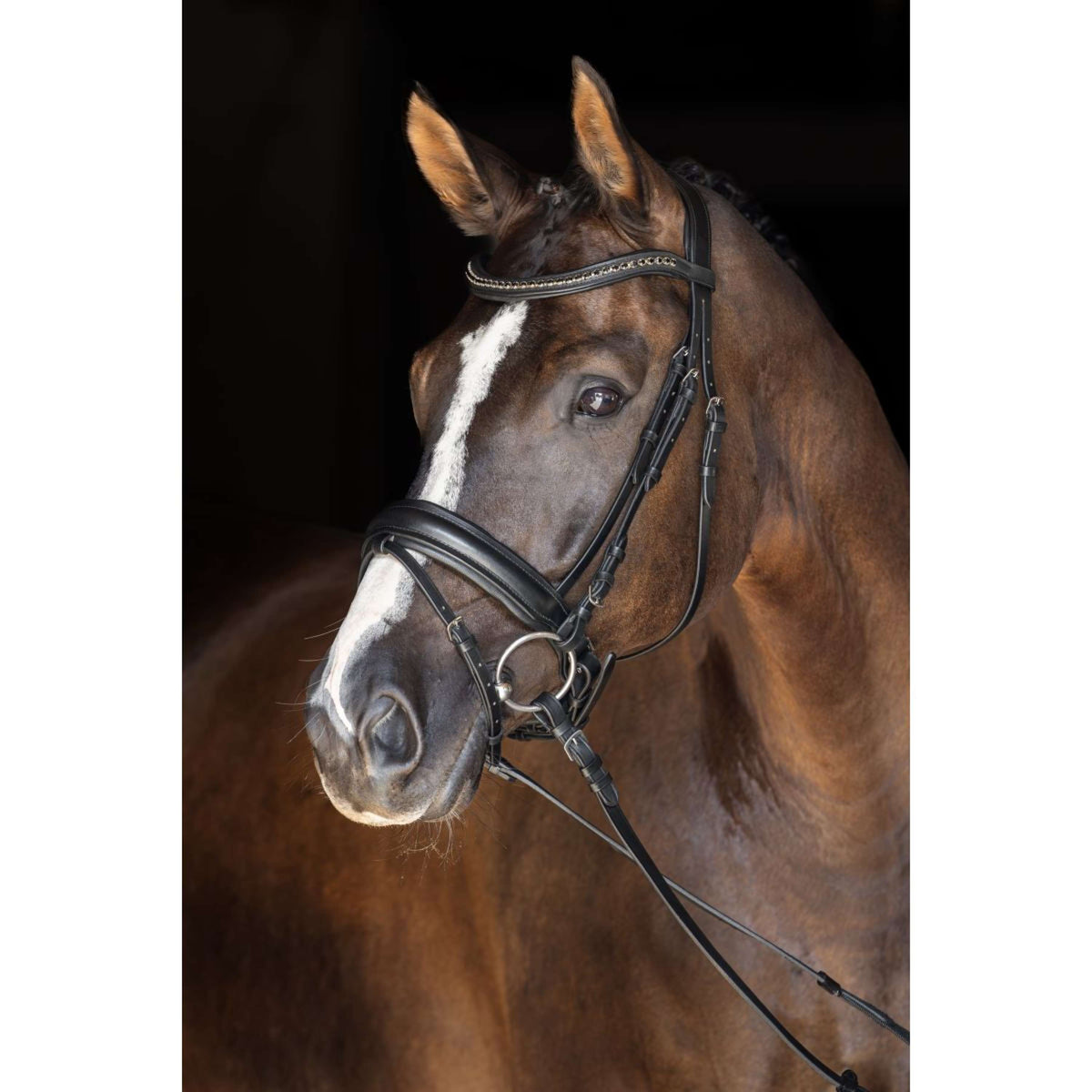 Covalliero Bride Zweeds Noir