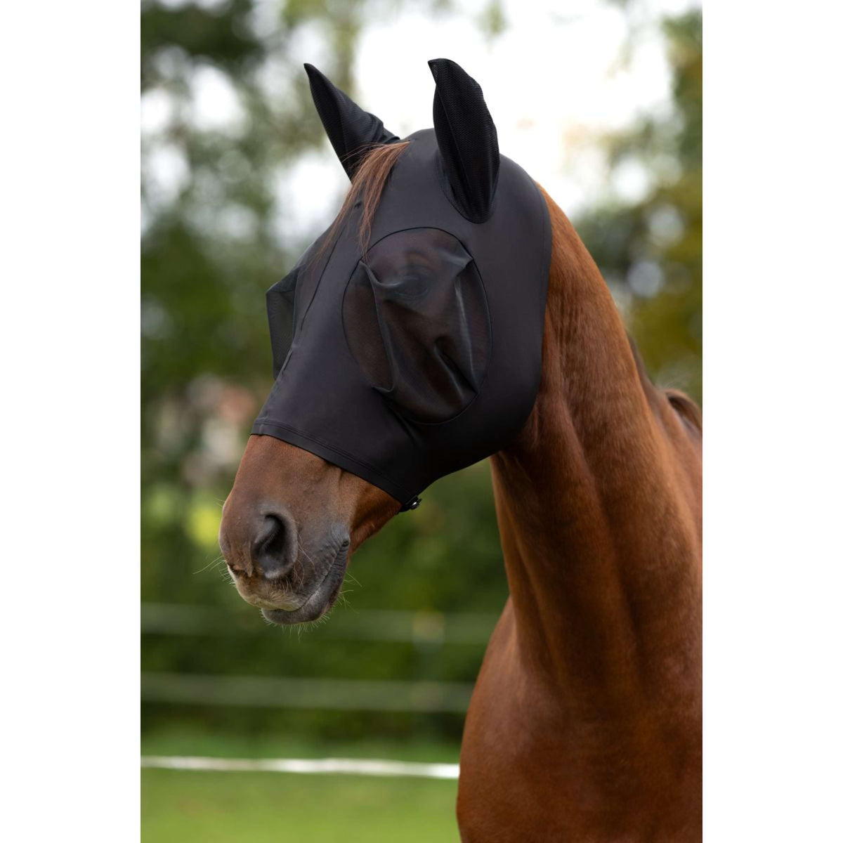 Covalliero Masque Anti-Mouches FinoStretch Noir