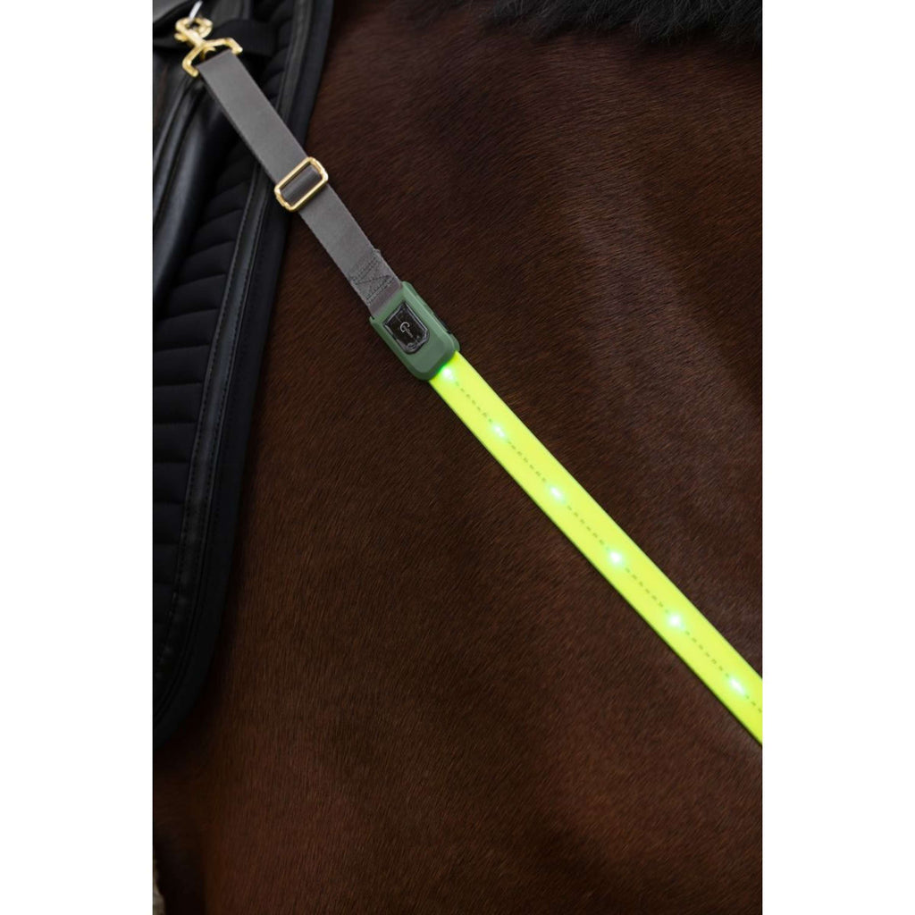 Covalliero Collier de Chasse Led Réflexion