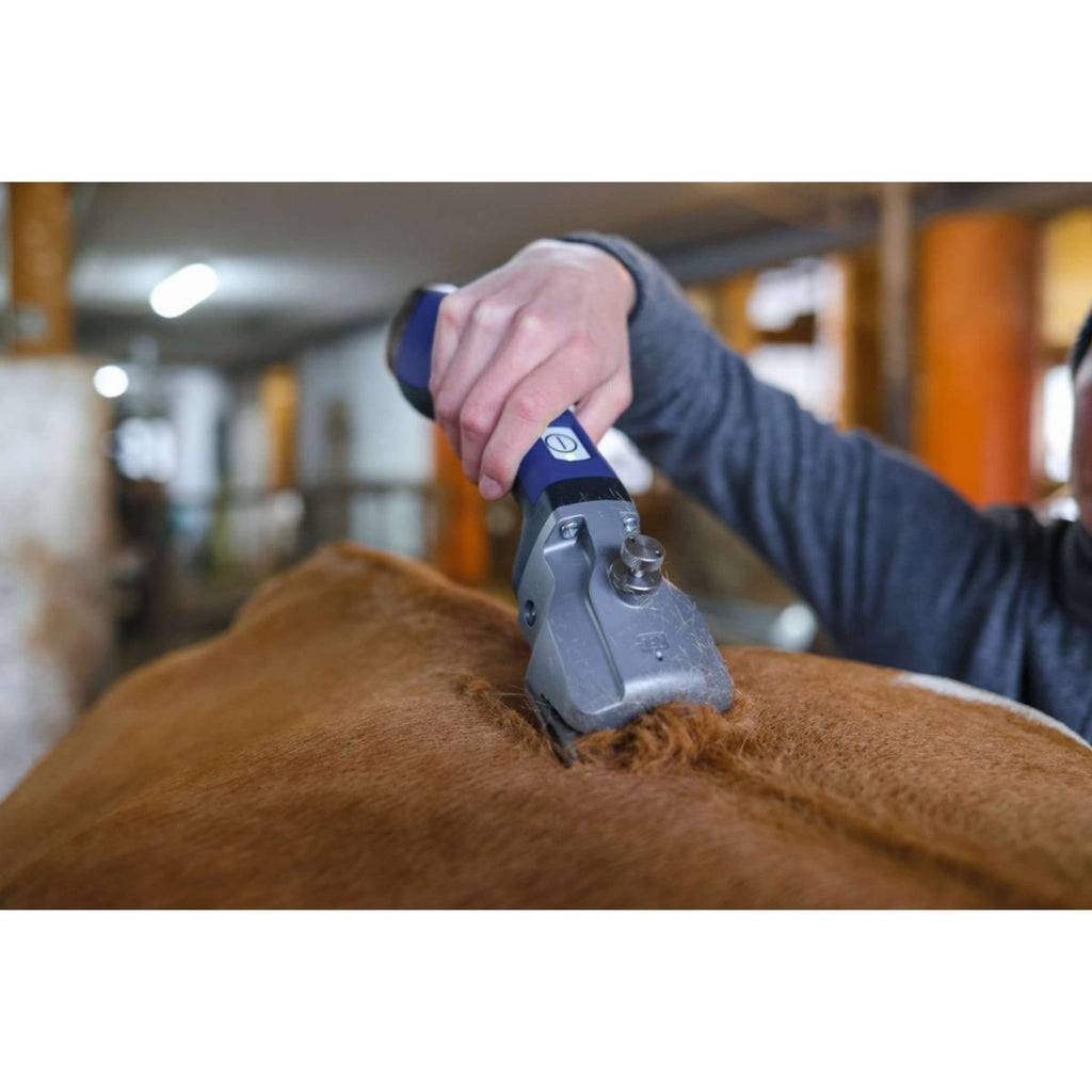 Aesculap Batterie Tondeuse Bonum Pro Cheval Bleu