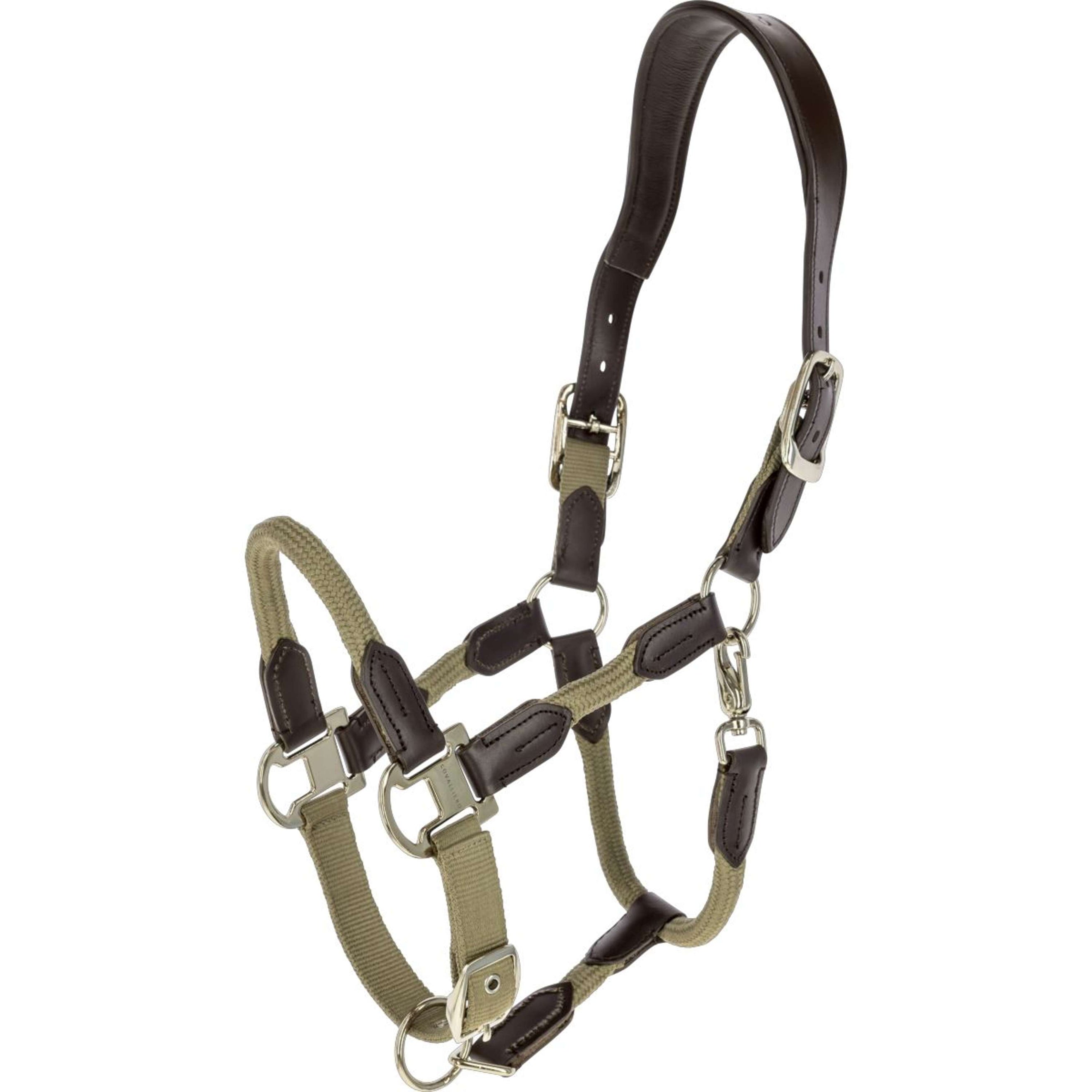 Covalliero Licol SS26 Noix