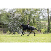 Covalliero Couvre-reins SS26 Noir
