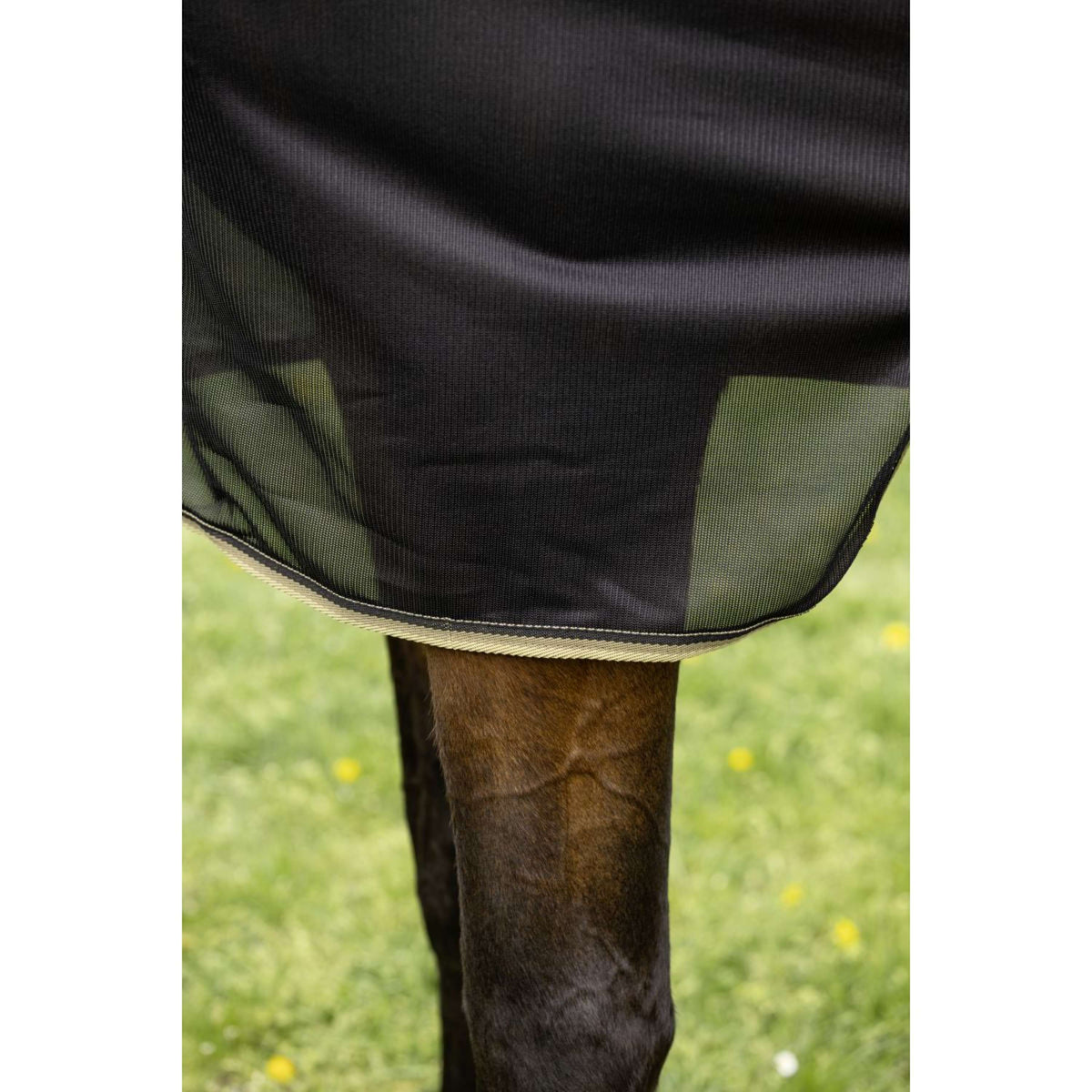 Covalliero Couverture Anti-Mouches SS26 Noir