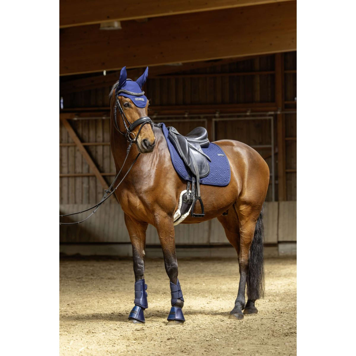 Covalliero Tapis de Selle SS26 Polyvalent Foncé Marine