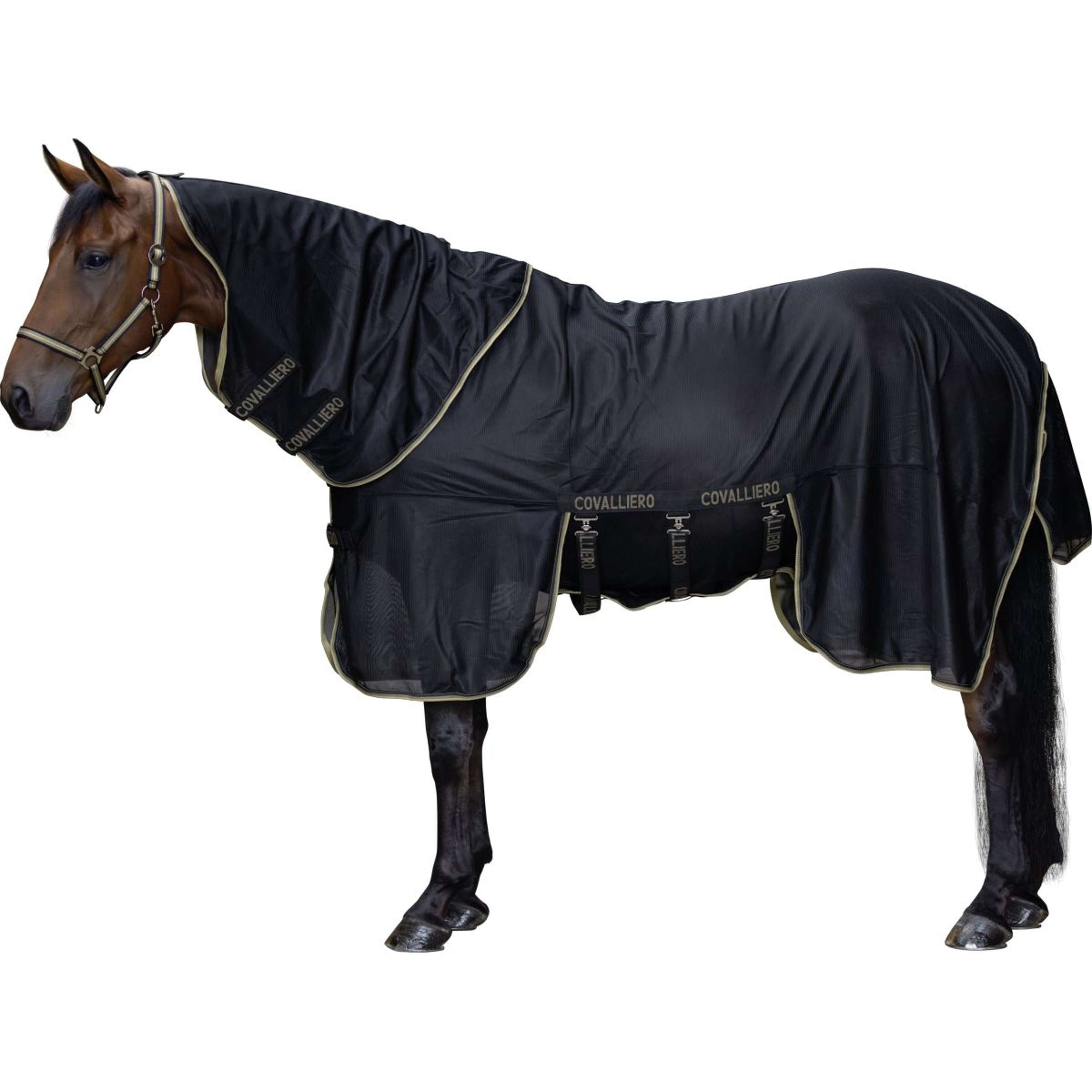 Covalliero Couverture Anti-Mouches SS26 Noir Covalliero Couverture Anti-Mouches SS26 Noir