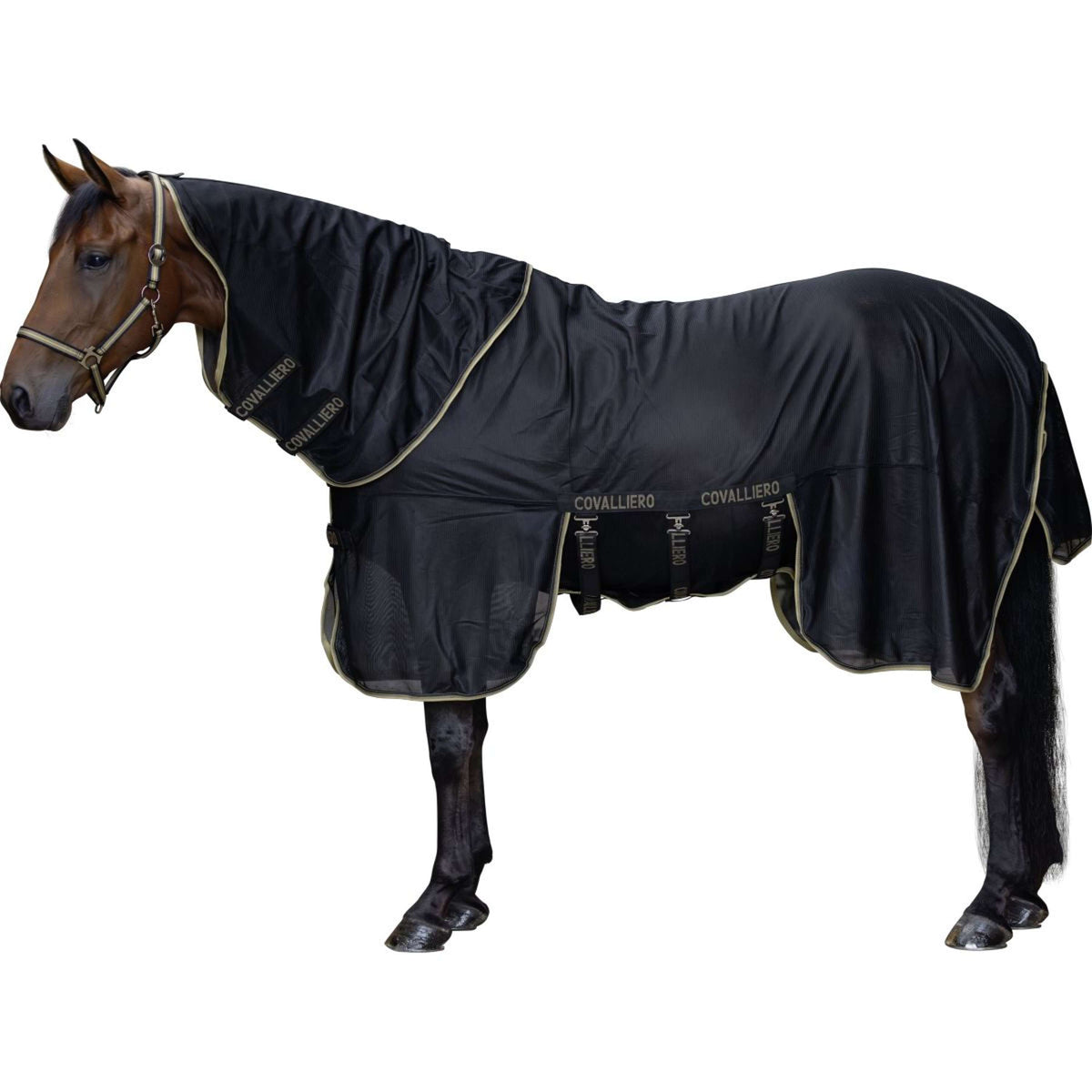 Covalliero Couverture Anti-Mouches SS26 Noir