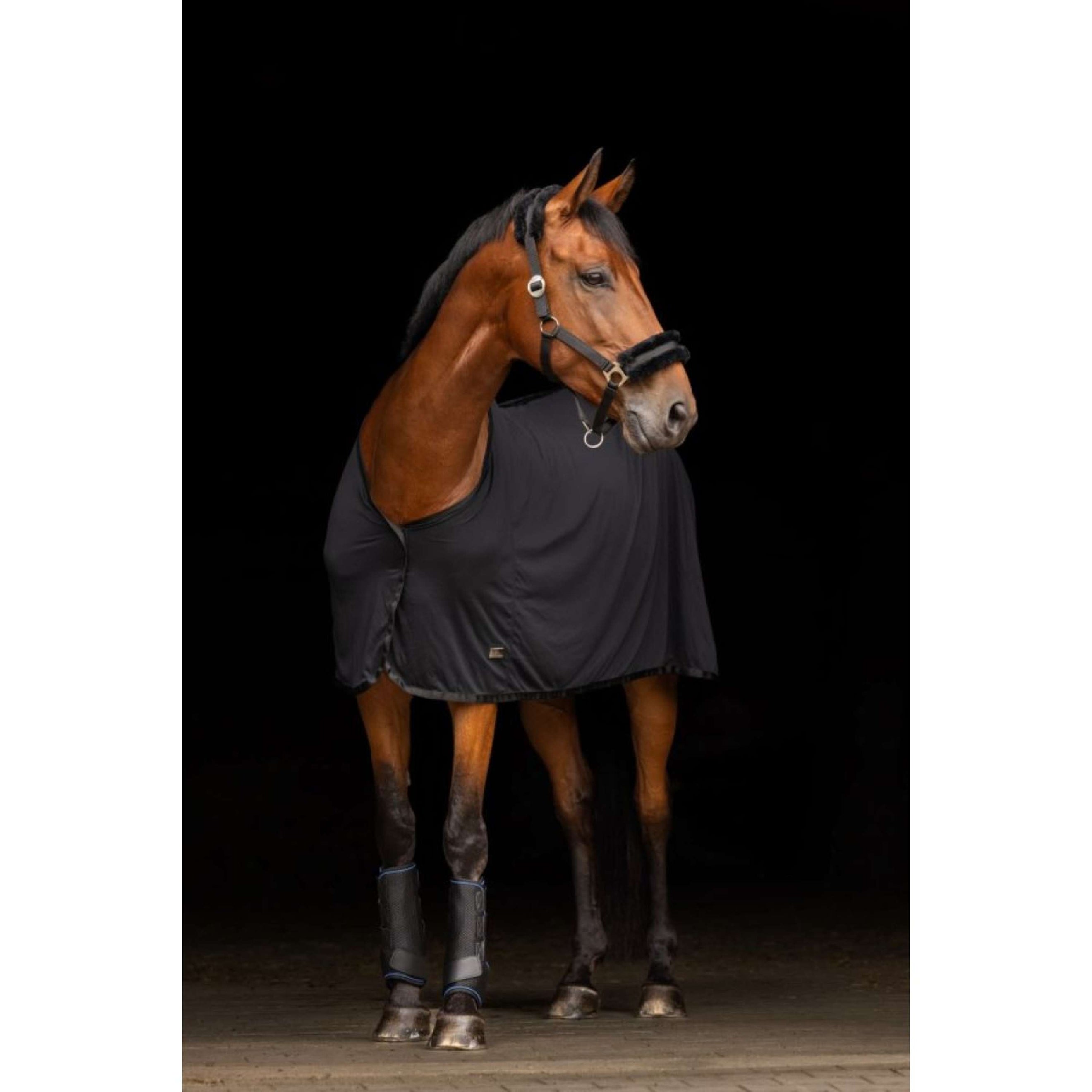 Covalliero Chemise Rafraîchissante Cooling Noir Covalliero Chemise Rafraîchissante Cooling Noir