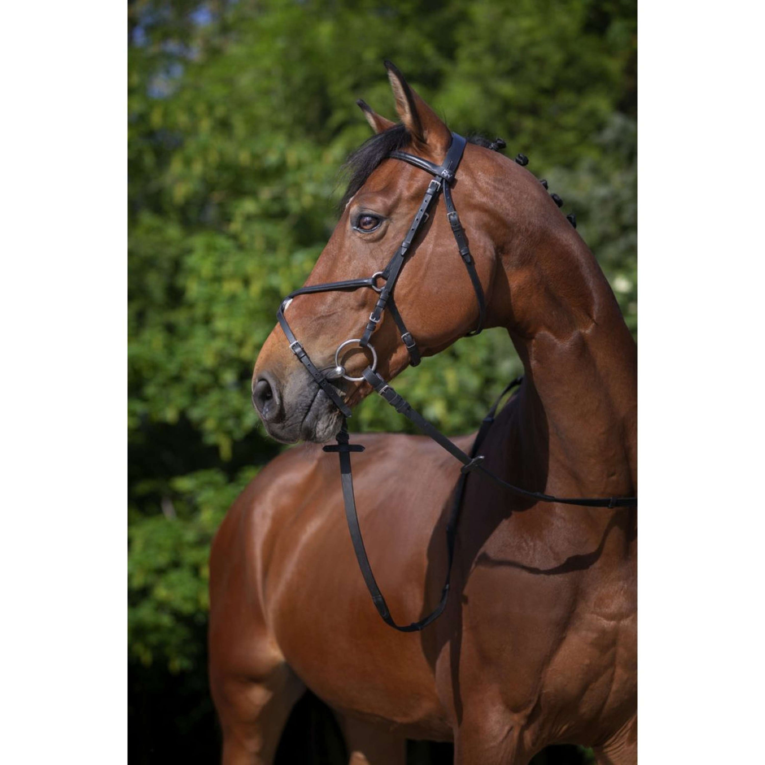 Riding World Bride avec Muserolle Mexicaine Noir Riding World Bride avec Muserolle Mexicaine Noir
