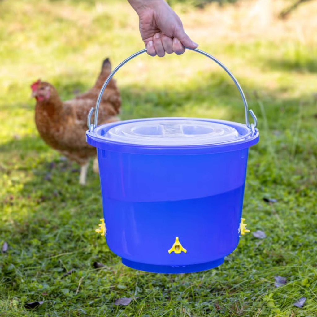 Kerbl Abreuvoir-Seau Avicole avec 4 abreuvoirs à tétine Bleu