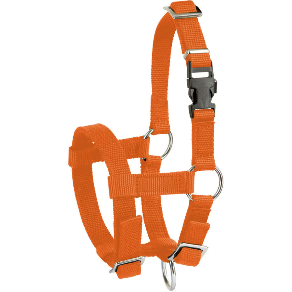 Kerbl Licol Alpaga réglable Orange