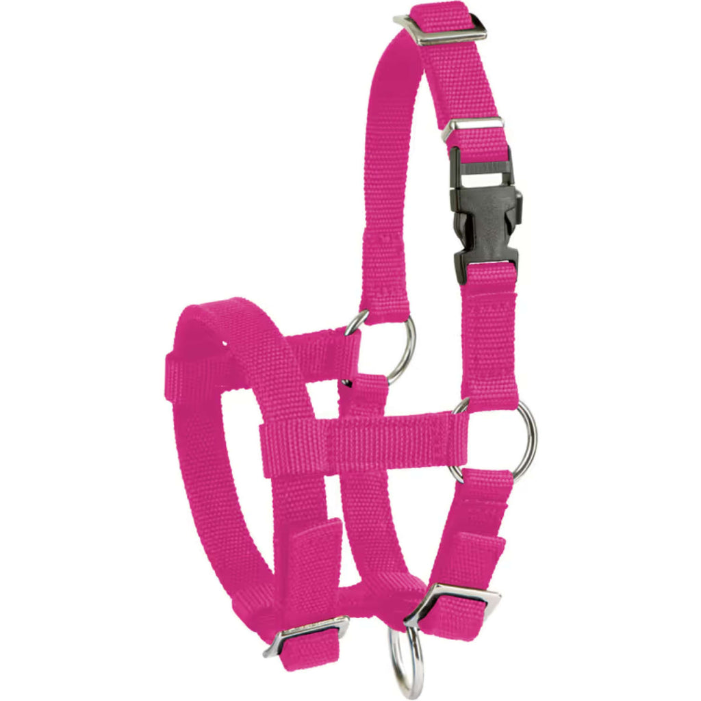 Kerbl Licol Alpaga réglable Rose